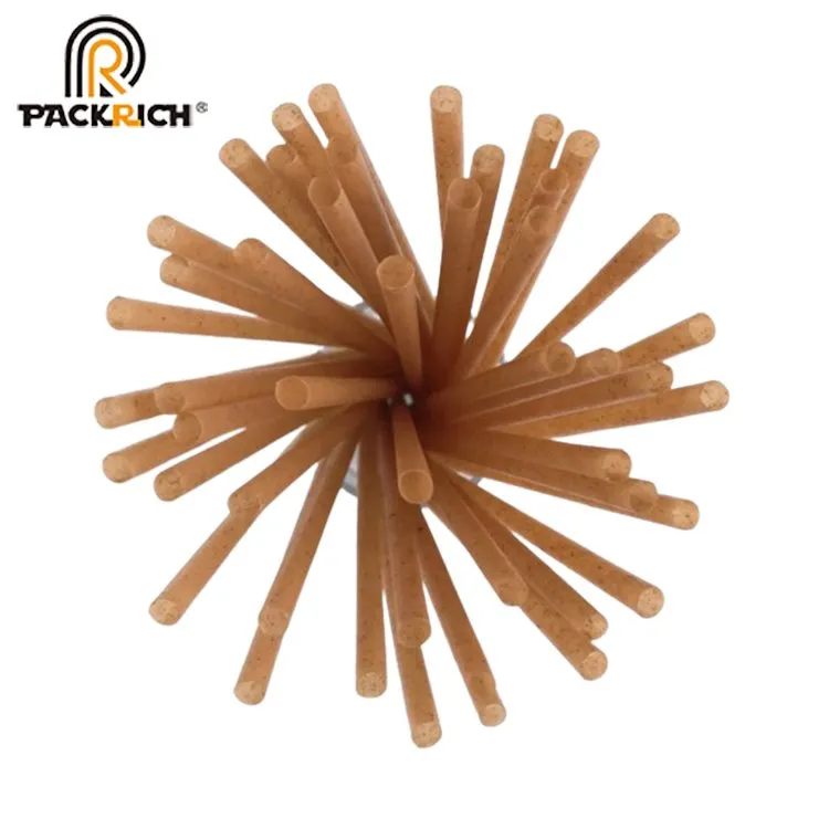 Disposable Beverage Sugarcane Straw